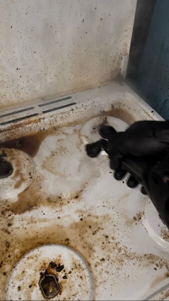 Fenix Cleaning - Servicii de curatenie