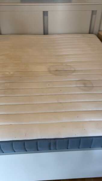 Fenix Cleaning - Servicii de curatenie