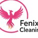 Fenix Cleaning - Servicii de curatenie